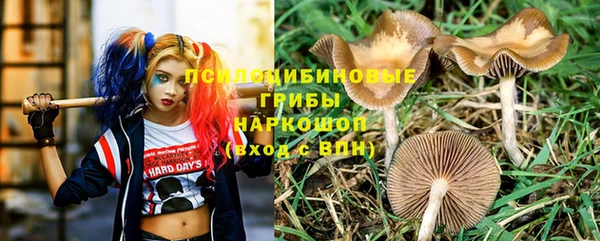 дживик Абинск