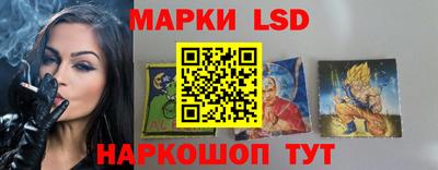 apvp Рыбинск