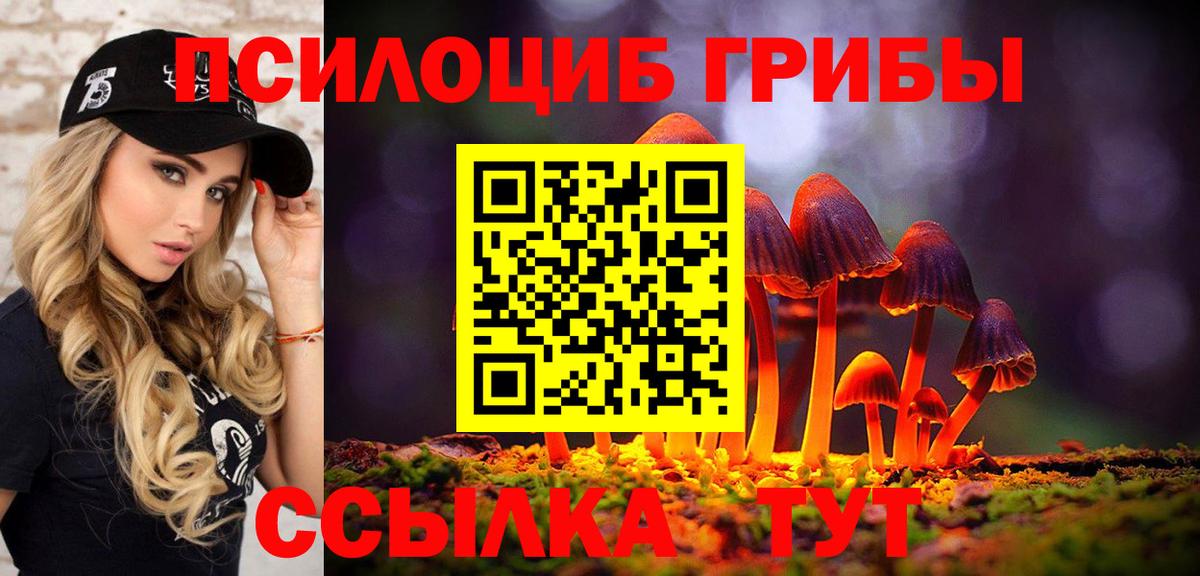 Псилоцибиновые грибы Cubensis  Вход с VPN  Псилоцибиновые грибы Magic Shrooms  Сухой Лог 