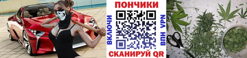 купить наркотики сайты  Сухой Лог  Бошки марихуана планчик 